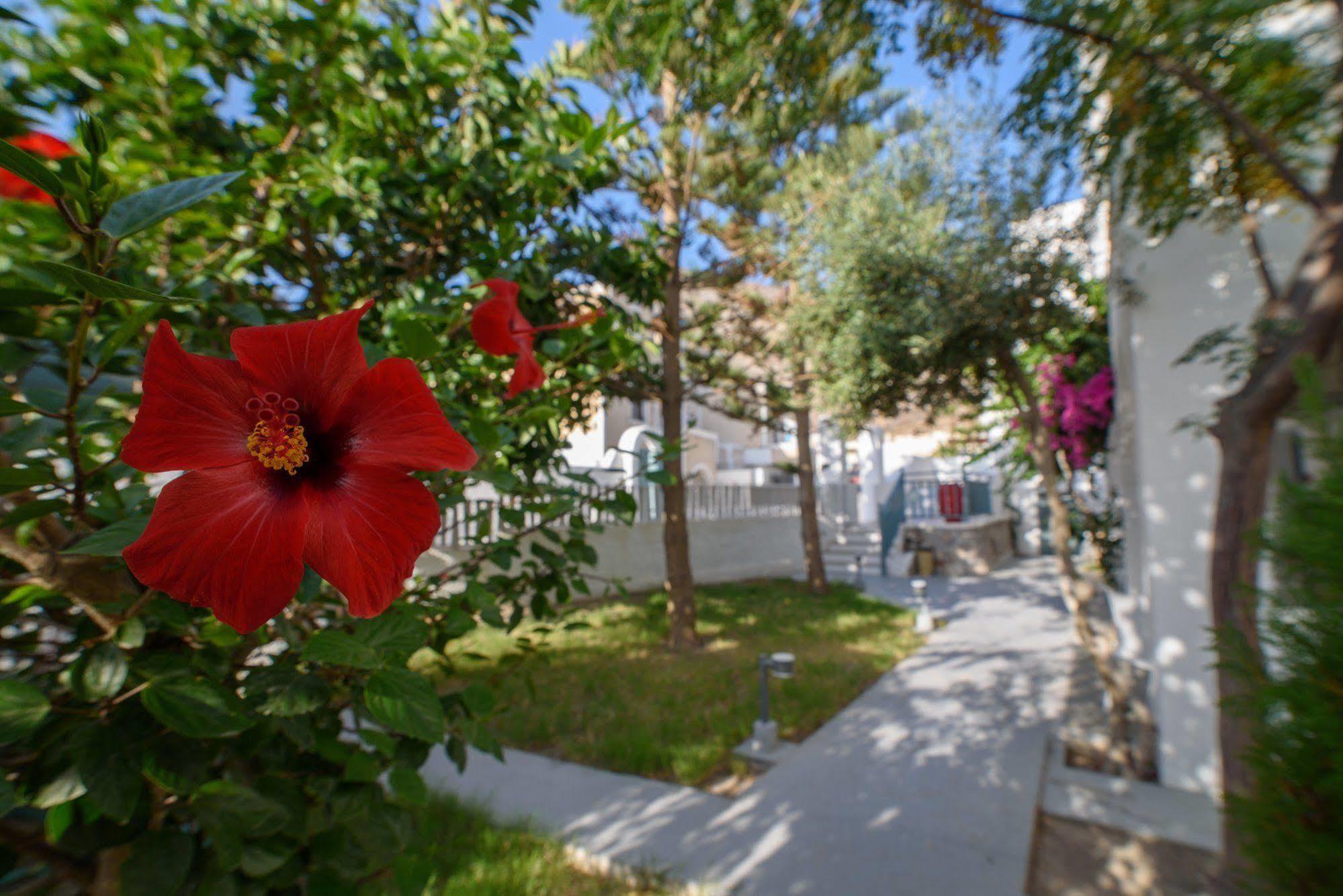 Iris Boutique Hotel Kamári Extérieur photo